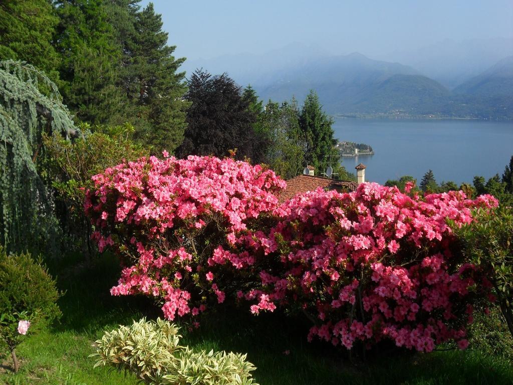 B&B Villa La Camana Stresa Zewnętrze zdjęcie