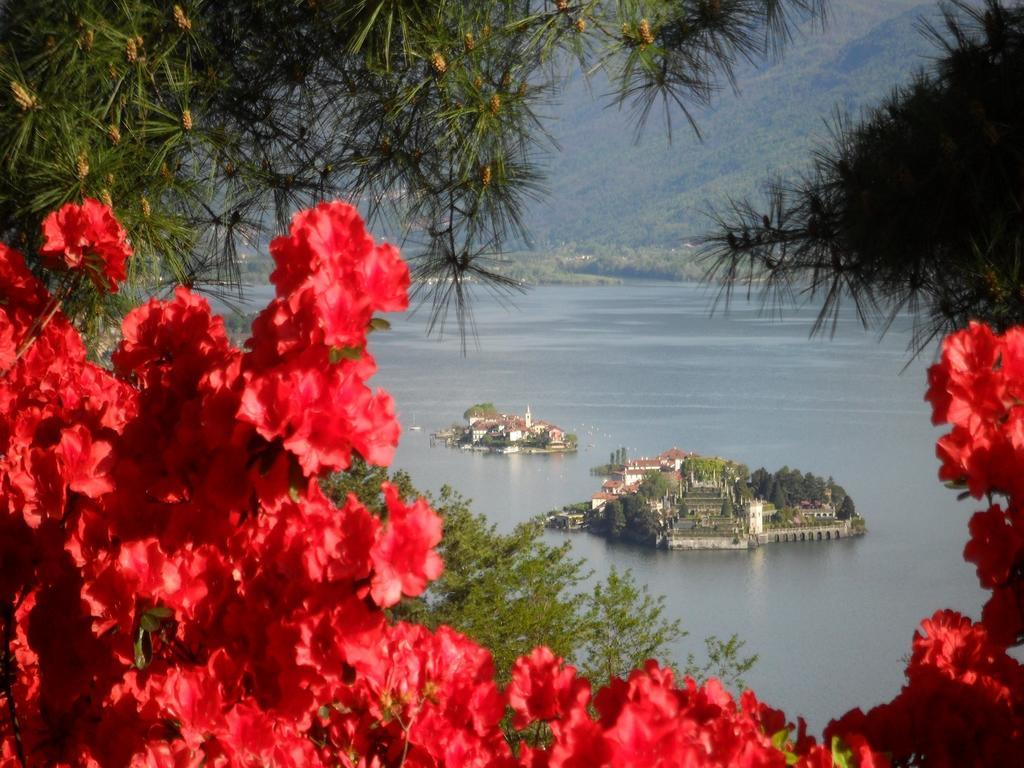 B&B Villa La Camana Stresa Zewnętrze zdjęcie